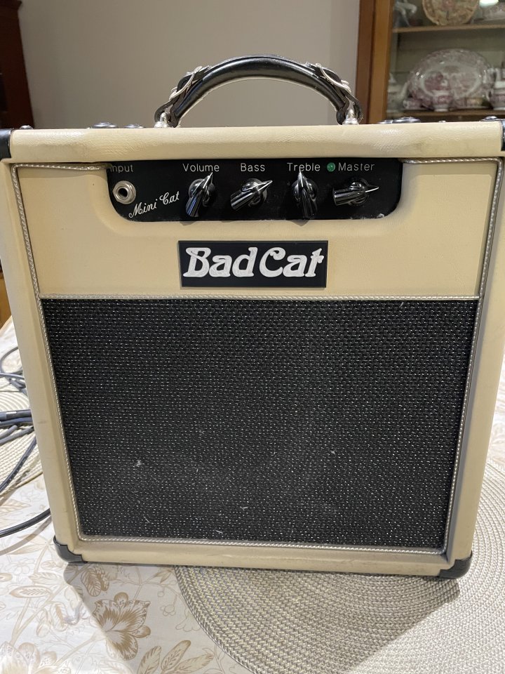 Vendo ampli de boutique BadCat Minicat en perfecto estado