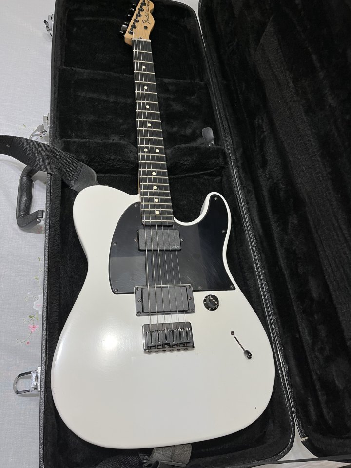 Fender jim root telecaster