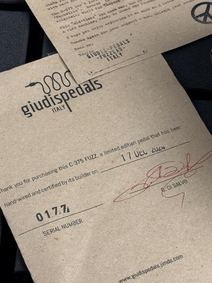 GIUDIS FUZZ  C375 (1 de 2), el 2 lo tiene Joey Landreth) - Jordan Bosstone "Nashville"-