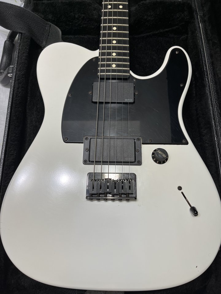 Fender jim root telecaster