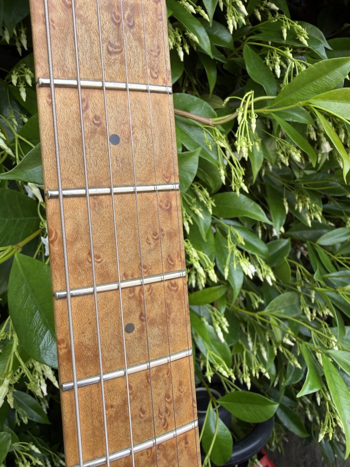 Axis Super Sport HH Tremolo Piezo. Honey Burst de segunda mano · Foto 6 de 10 · Cantabria · 2400 €
