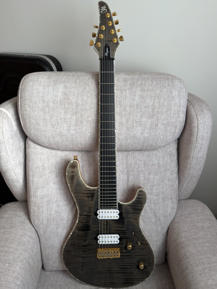 Mayones Regius 7 de segunda mano · Foto 1 de 10 · Murcia · 3000 €