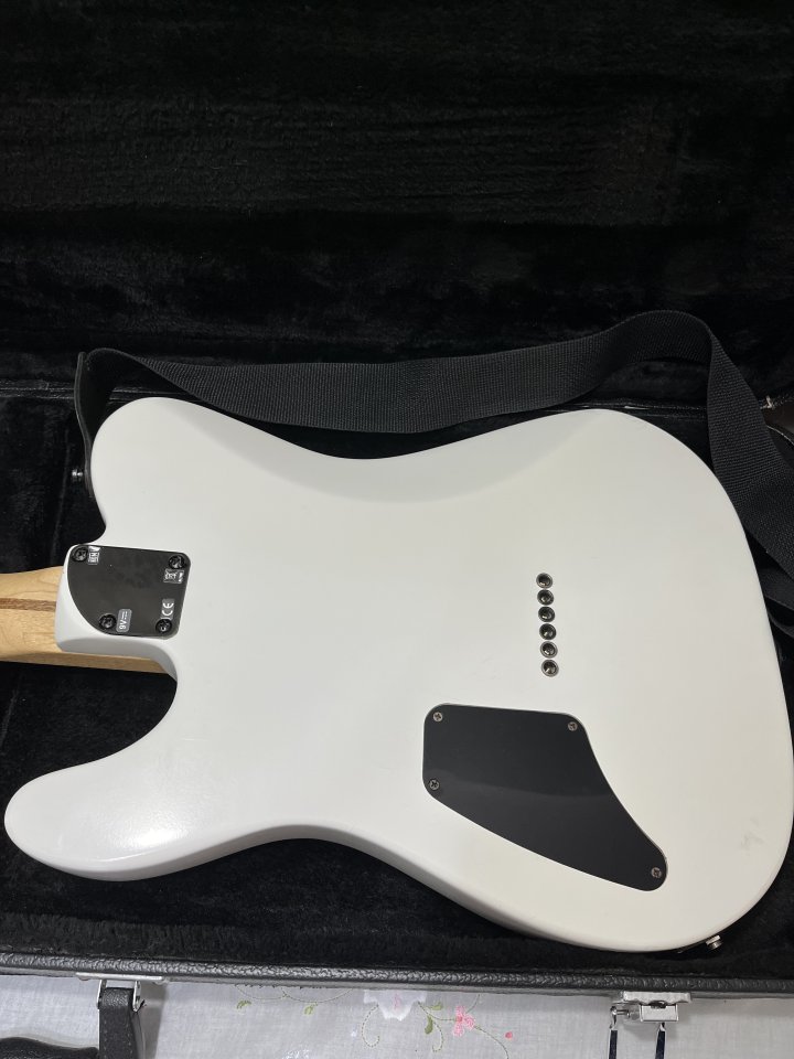 Fender jim root telecaster
