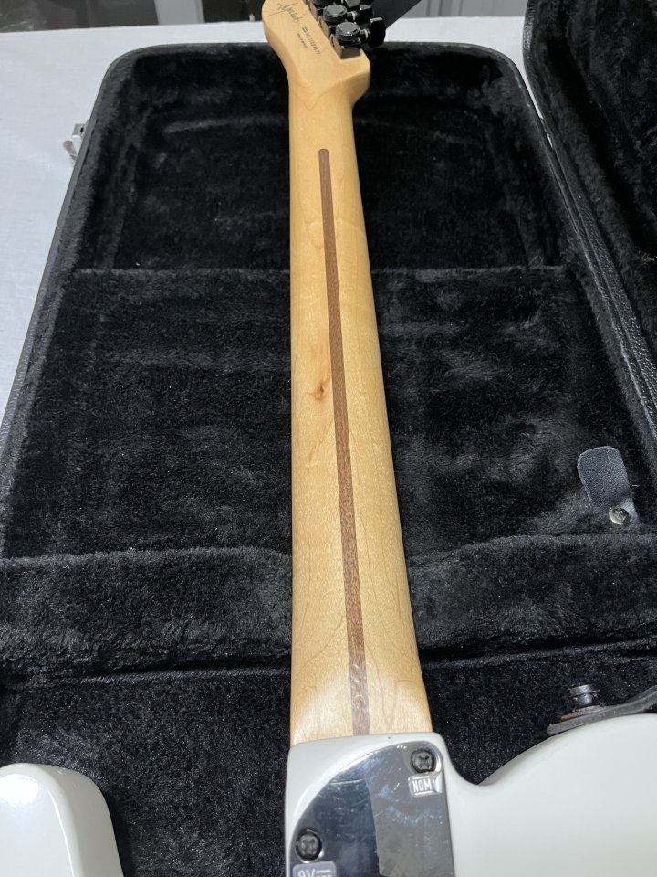 Fender jim root telecaster