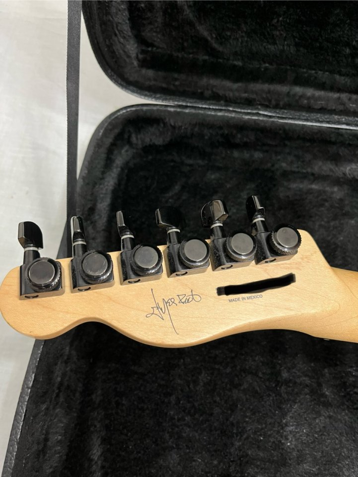 Fender jim root telecaster