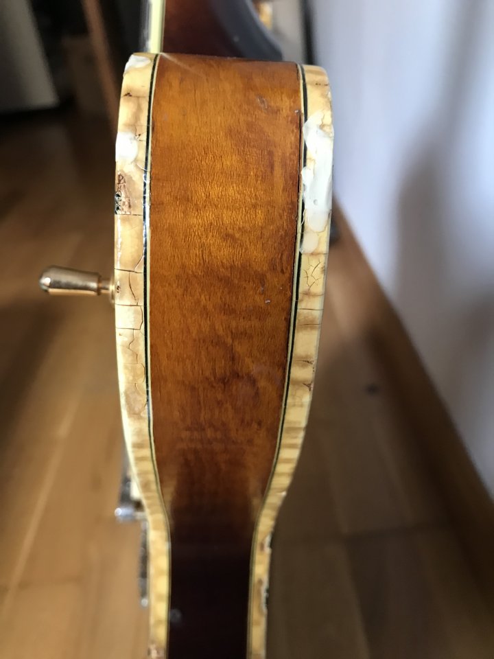 Ibanez 2630 - Precursora del model AS200