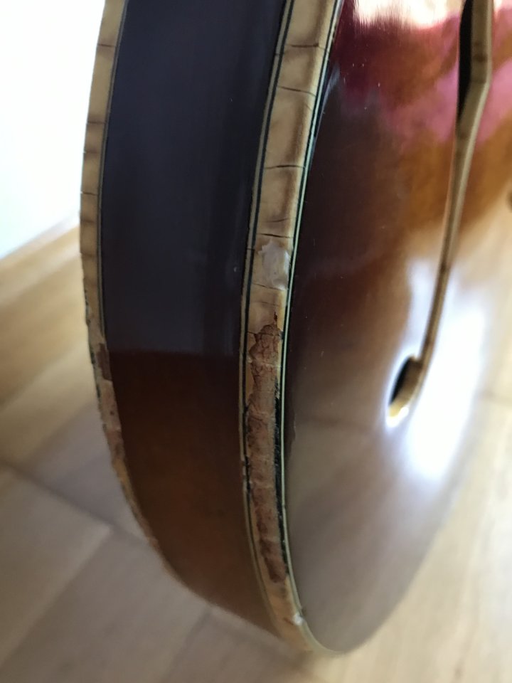 Ibanez 2630 - Precursora del model AS200