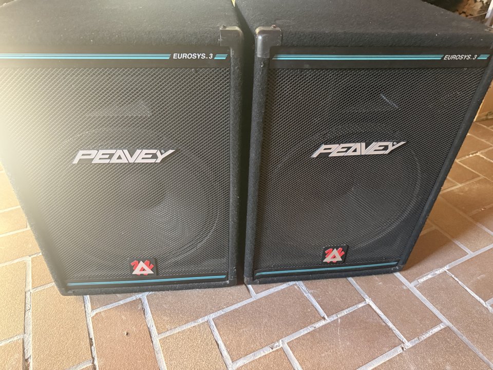 2 Altavoces PA Peavey Eurosys 3 (2x 300W)