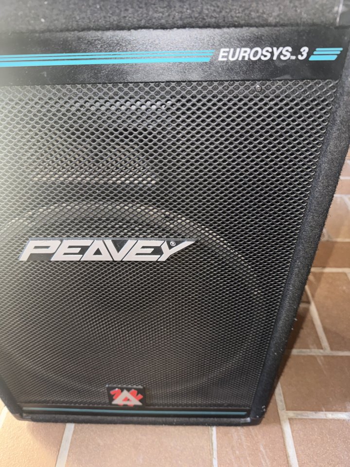 2 Altavoces PA Peavey Eurosys 3 (2x 300W)