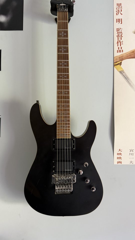 Schecter Guitar Research Sunset Custom FR Electric