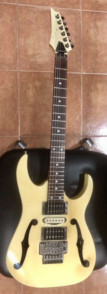 Ibanez PGM 30