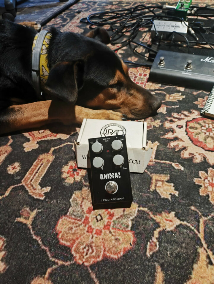 J. Rockett Audio Designs Animal Overdrive