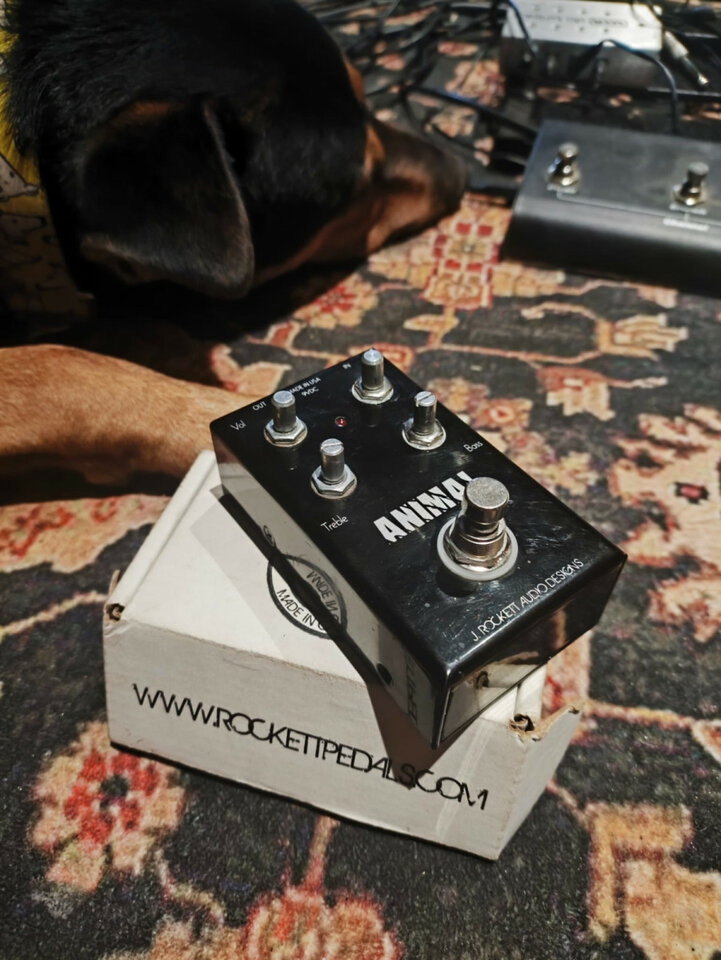 J. Rockett Audio Designs Animal Overdrive