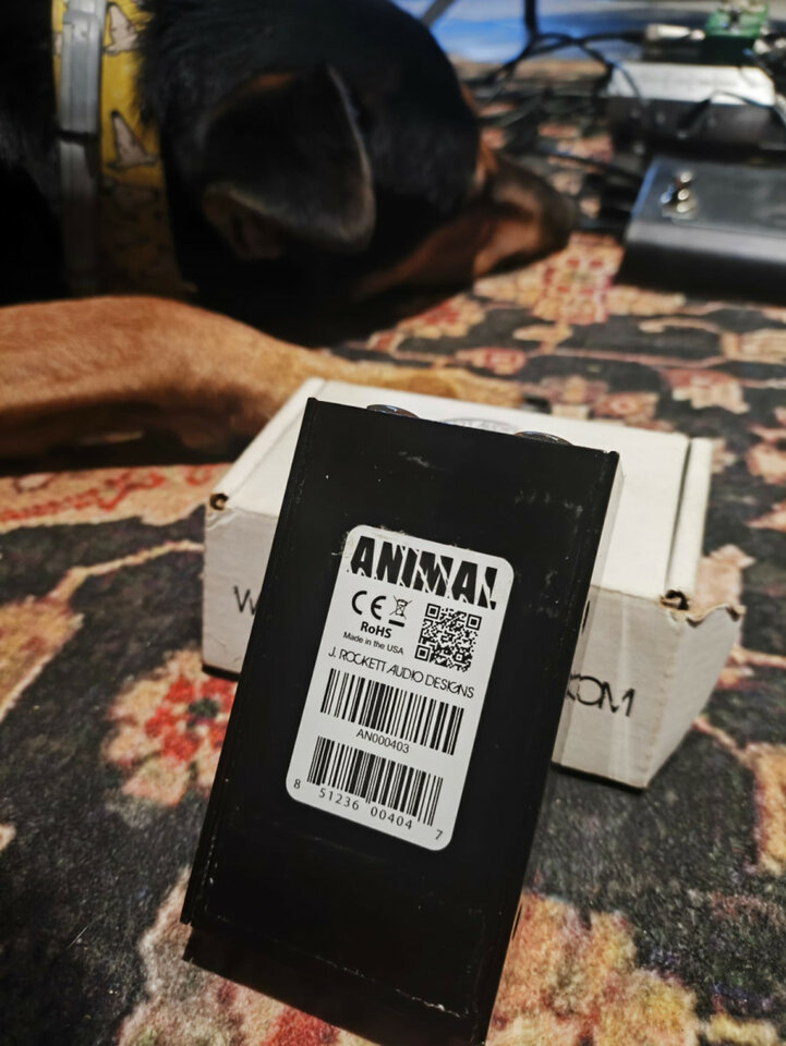 J. Rockett Audio Designs Animal Overdrive