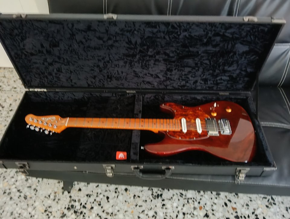 Godin Session T-Pro Ltd Kanyon Burst Mn