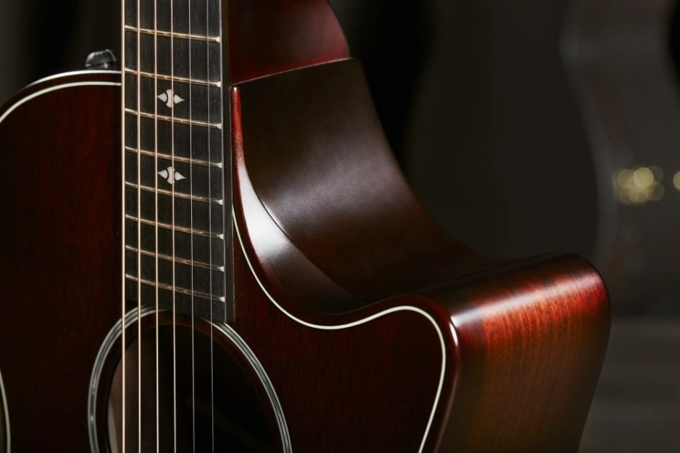 Taylor Builder's Edition 324ce