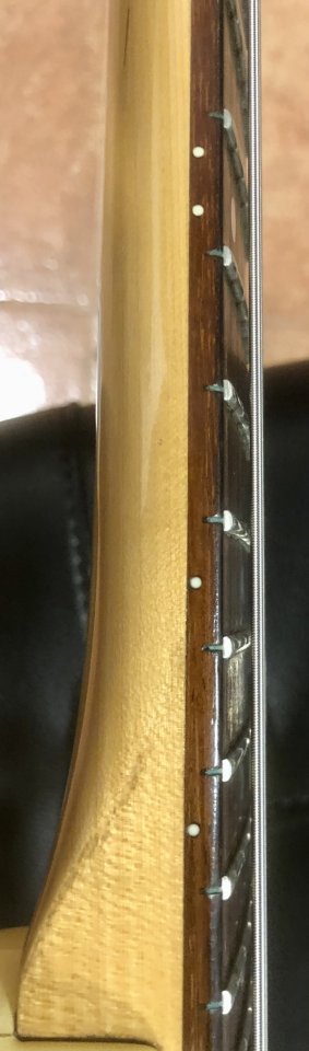 Vendo & Cambio Ibanez PGM 30