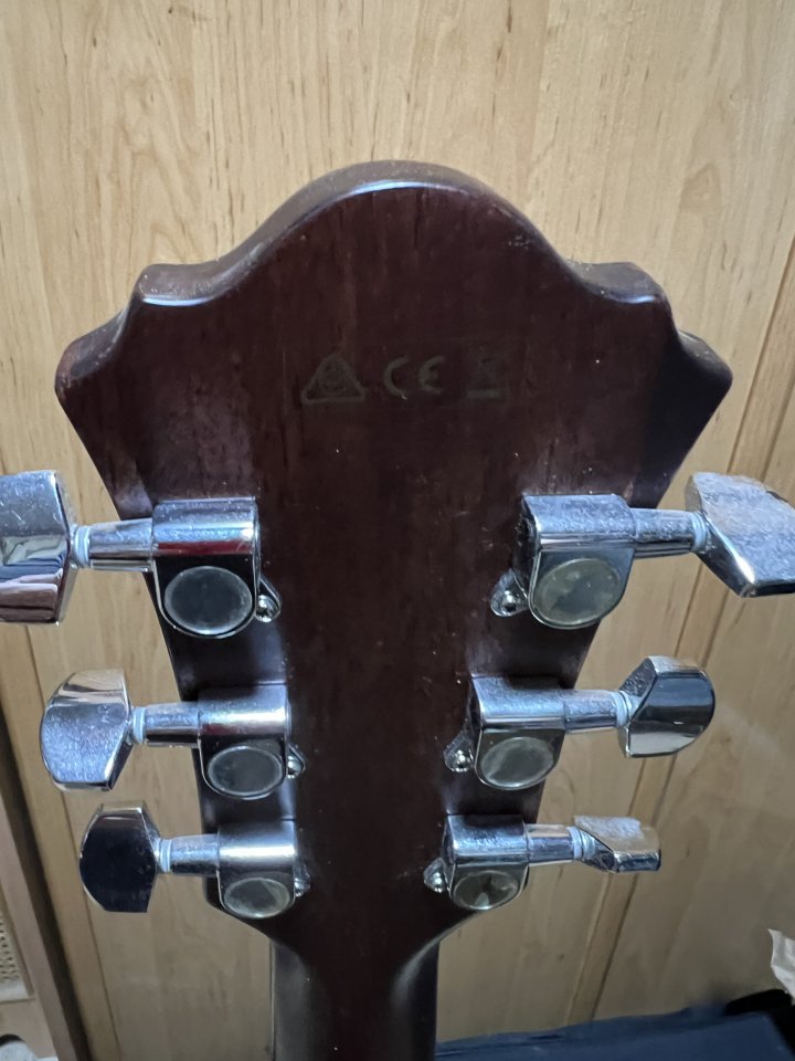 Ibanez acústica AE275BT-LGS