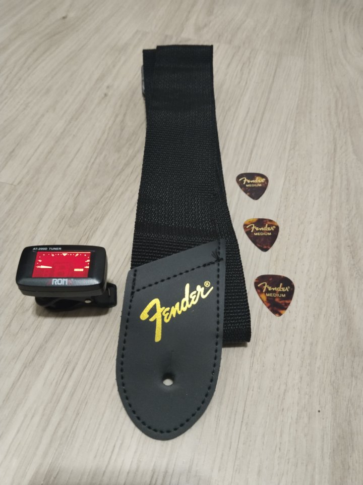 Pack guitarras con fundas y accesorios