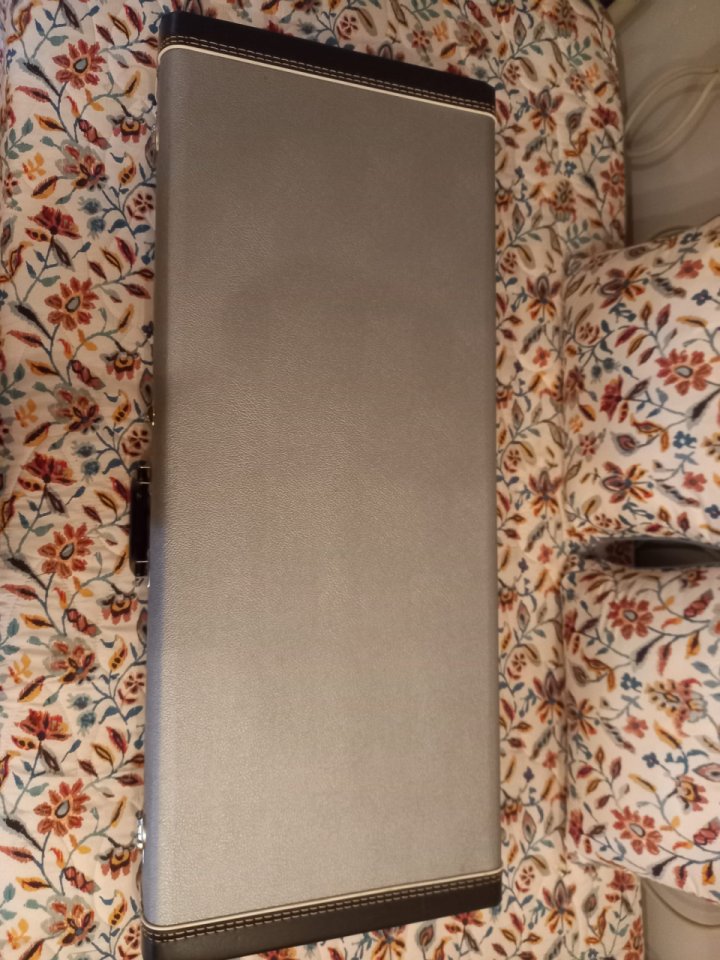 Rickenbacker 381/V69 Fireglo (2014) de segunda mano · Foto 1 de 10 · Valencia · 4600 €