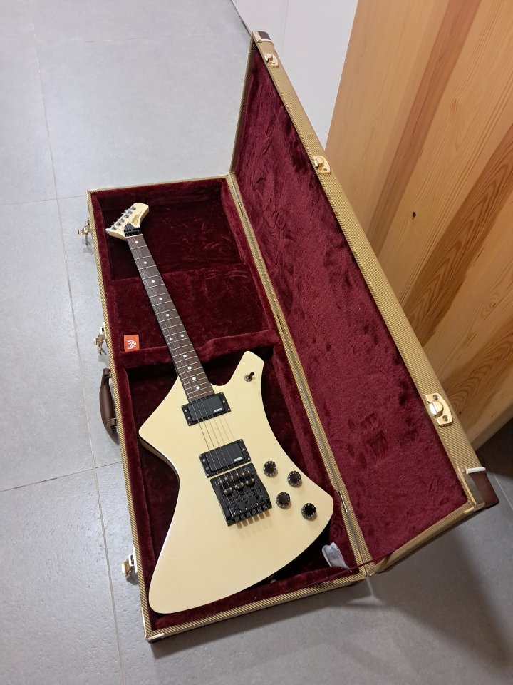Guitarra Washburn A10 (1984) con estuche de tweed.