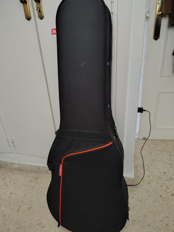 Funda estuche semirrígido Guitarra eléctrica de segunda mano · Foto 1 de 6 · Sevilla · 40 €