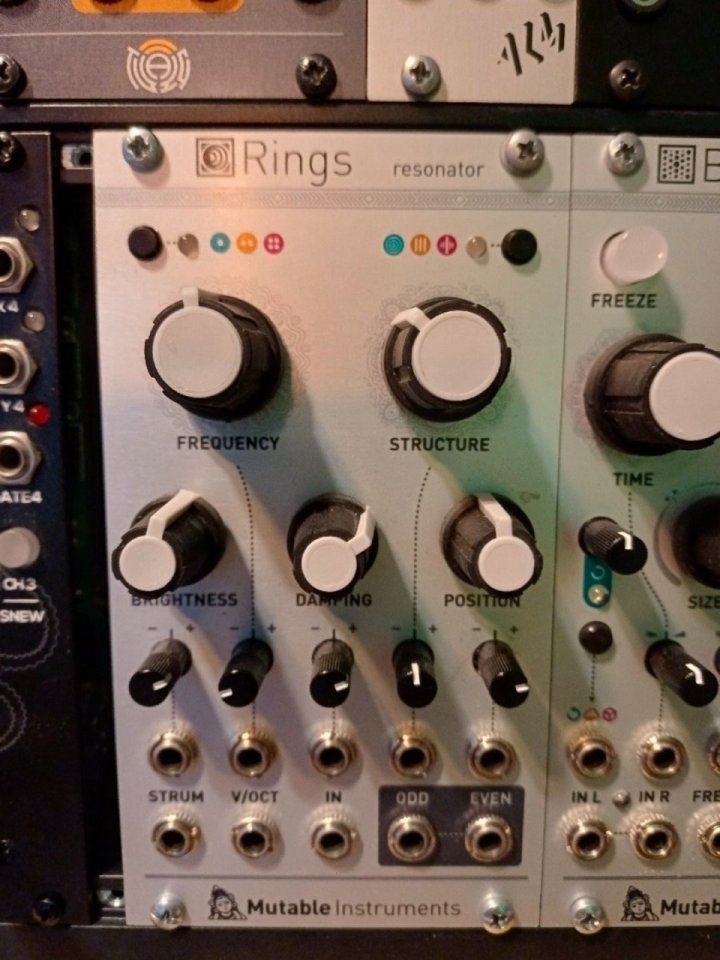 Mutable instruments Rings original