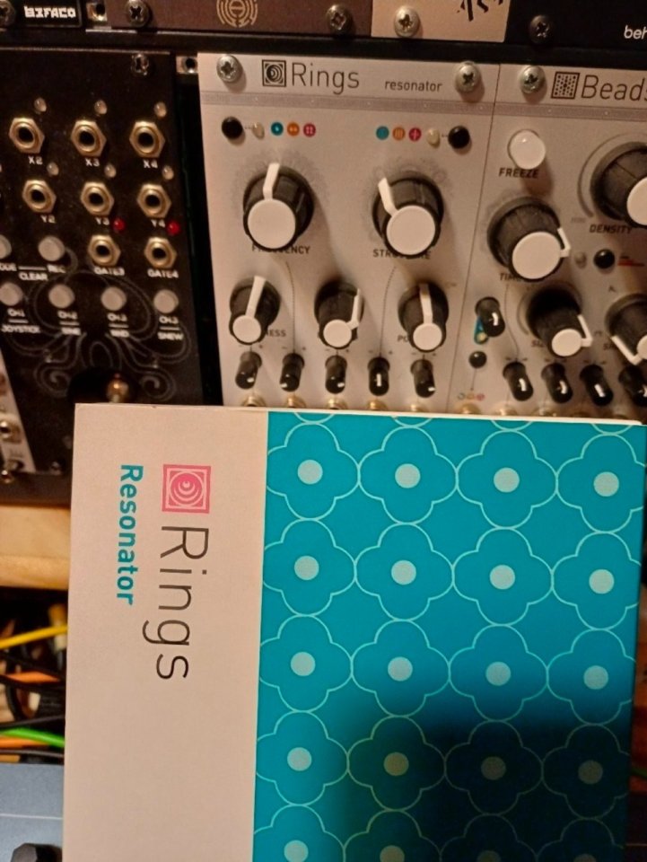 Mutable instruments Rings original