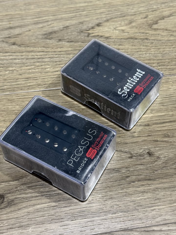 Seymour Duncan Pegasus & Sentient