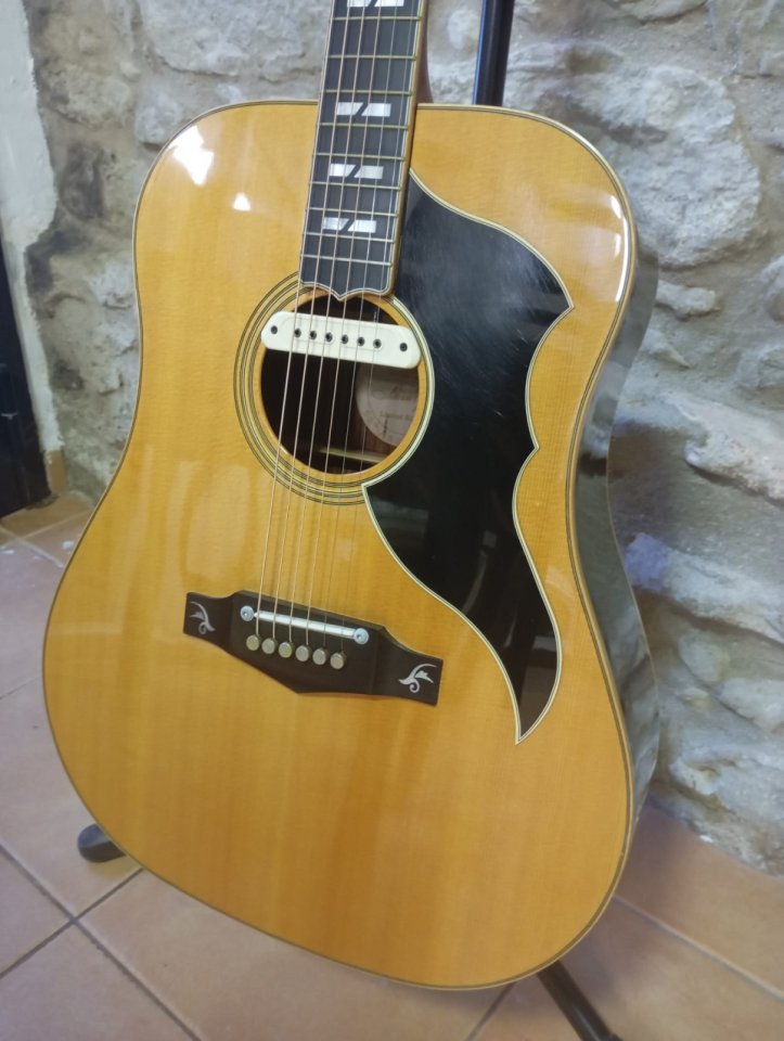 Eko Ranger VI 50th Anniversary Ltd Ed. 2010 Natural de segunda mano · Foto 1 de 10 · Girona · 400 €