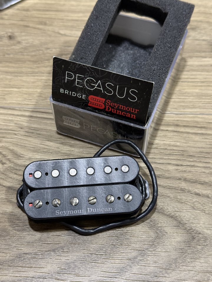 Seymour Duncan Pegasus & Sentient