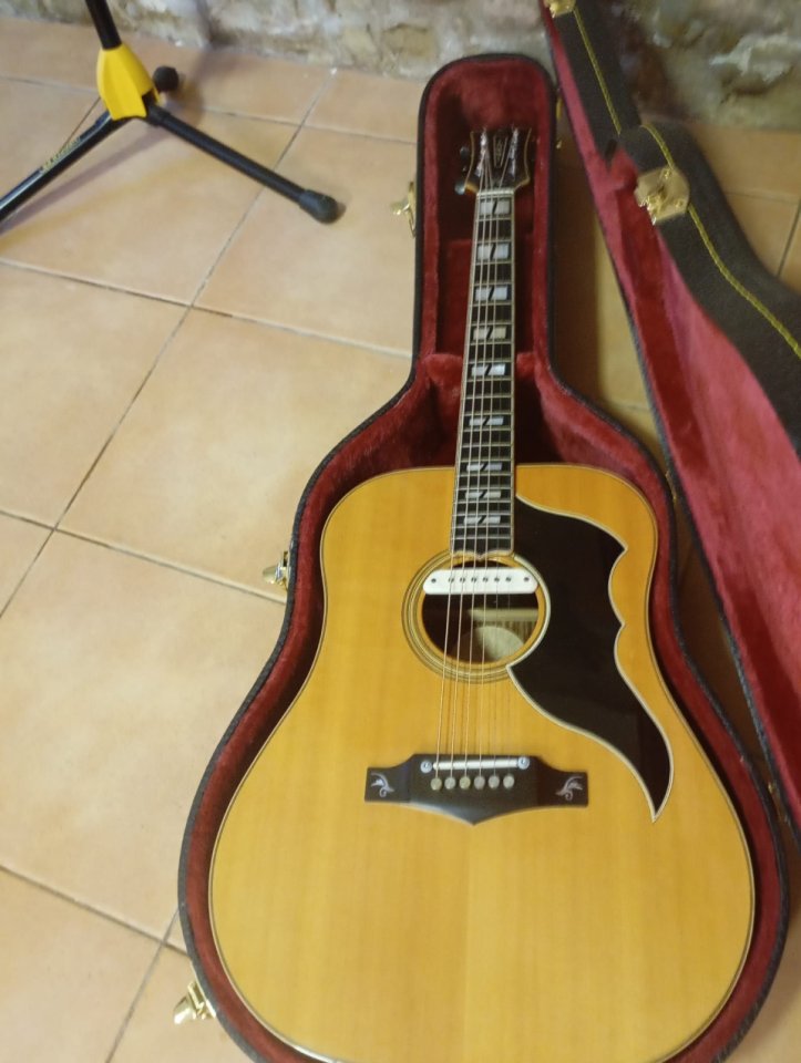 Eko Ranger VI 50th Anniversary Ltd Ed. 2010 Natural de segunda mano · Foto 2 de 10 · Girona · 400 €