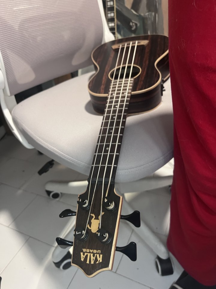 Kala U-Bass Striped Ebony