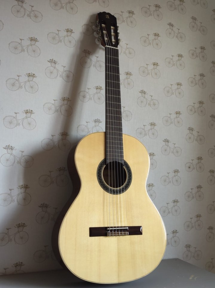 Guitarra Alhambra 1 C A + Funda + Afinador de segunda mano · Foto 1 de 4 · Burgos · 280 €