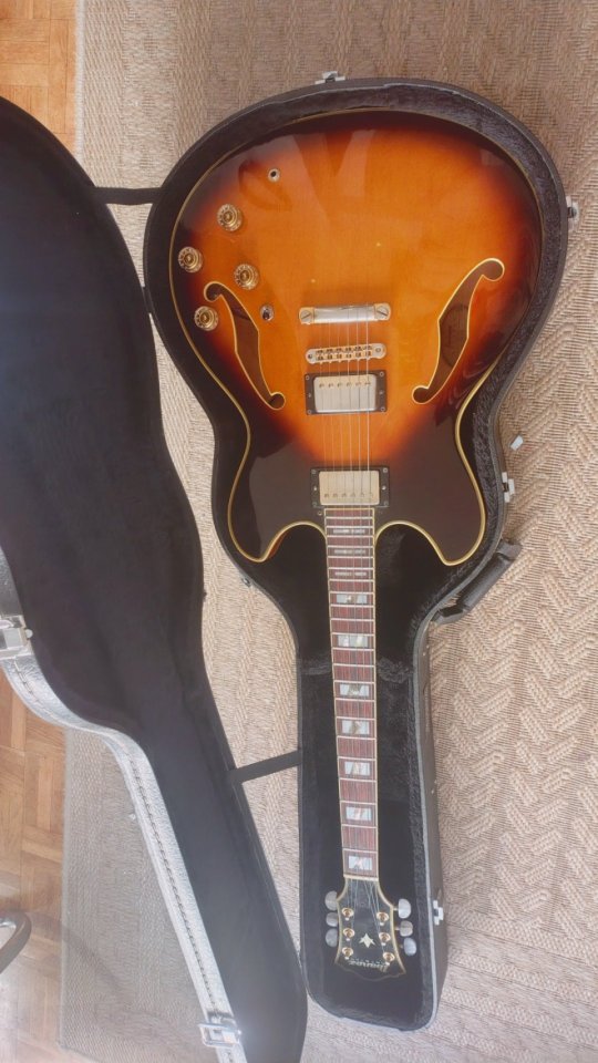Ibanez artstar as120