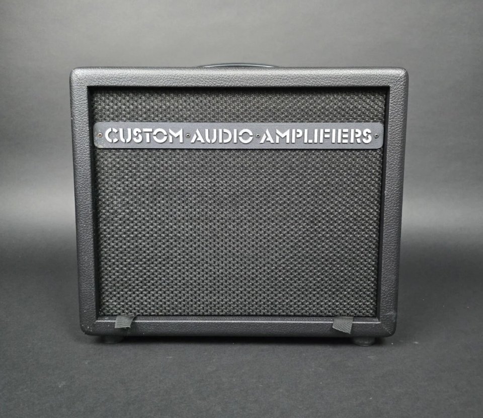 1x12” Custom Audio Electronics. CAE