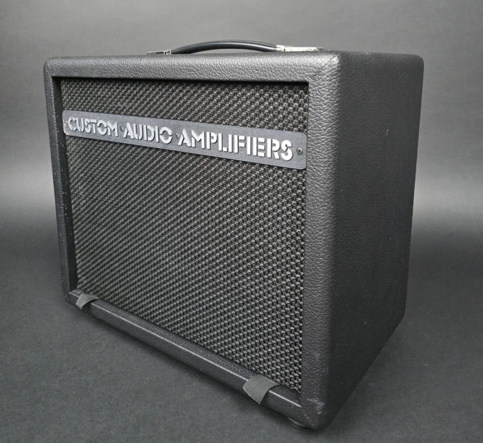 1x12” Custom Audio Electronics. CAE