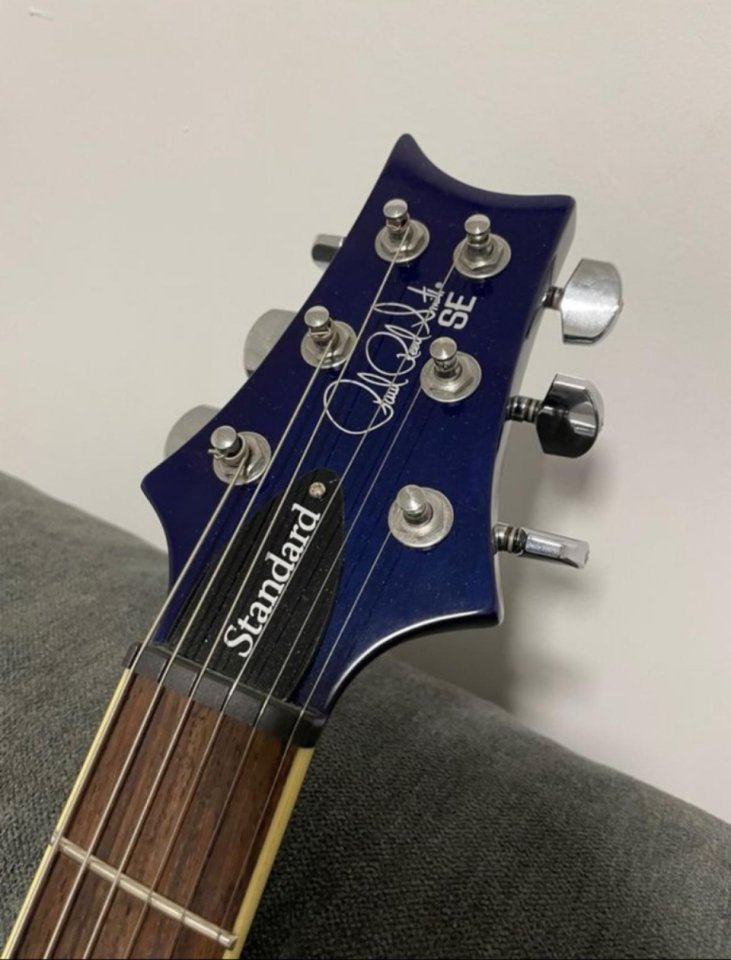 PRS SE Standard 24
