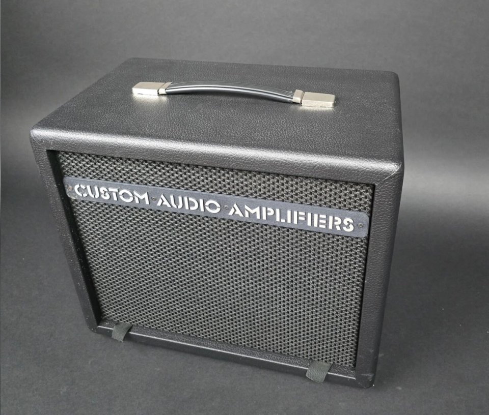 1x12” Custom Audio Electronics. CAE