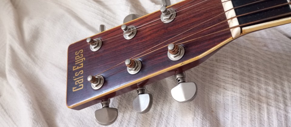 Tokai Cat's Eyes 1976