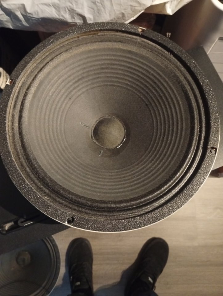 Celestion T3896 (G12 Vintage) 8 ohmios