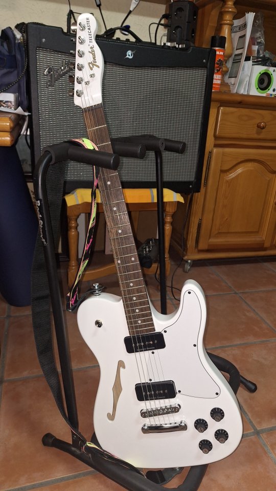Fender Telecaster Jim adkins, de tienda.