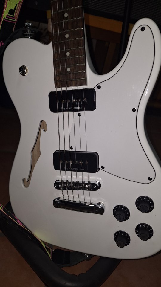 Fender Telecaster Jim adkins, de tienda.