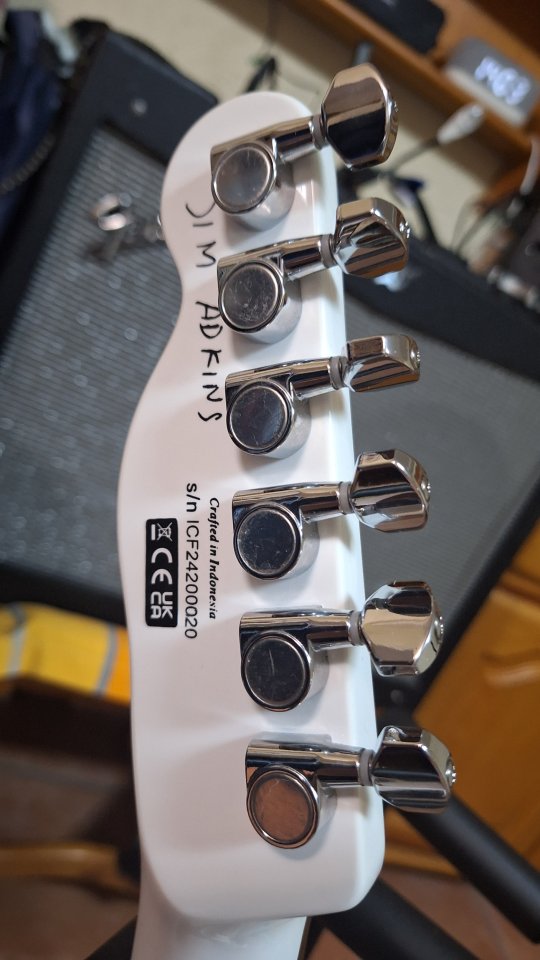 Fender Telecaster Jim adkins, de tienda.