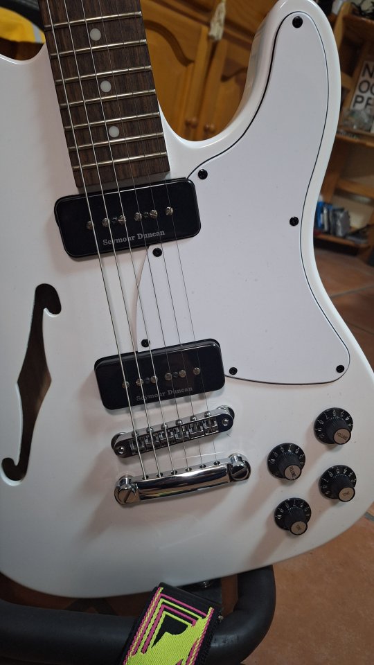 Fender Telecaster Jim adkins, de tienda.