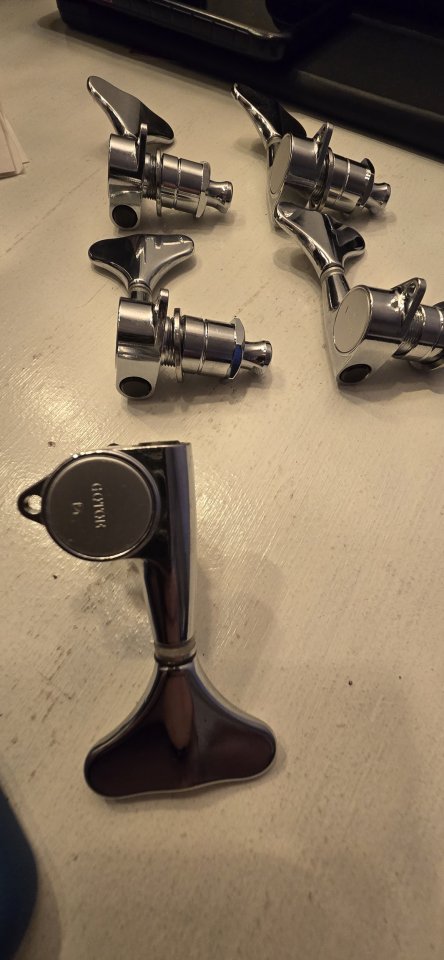 Clavijeros Bajo Gotoh