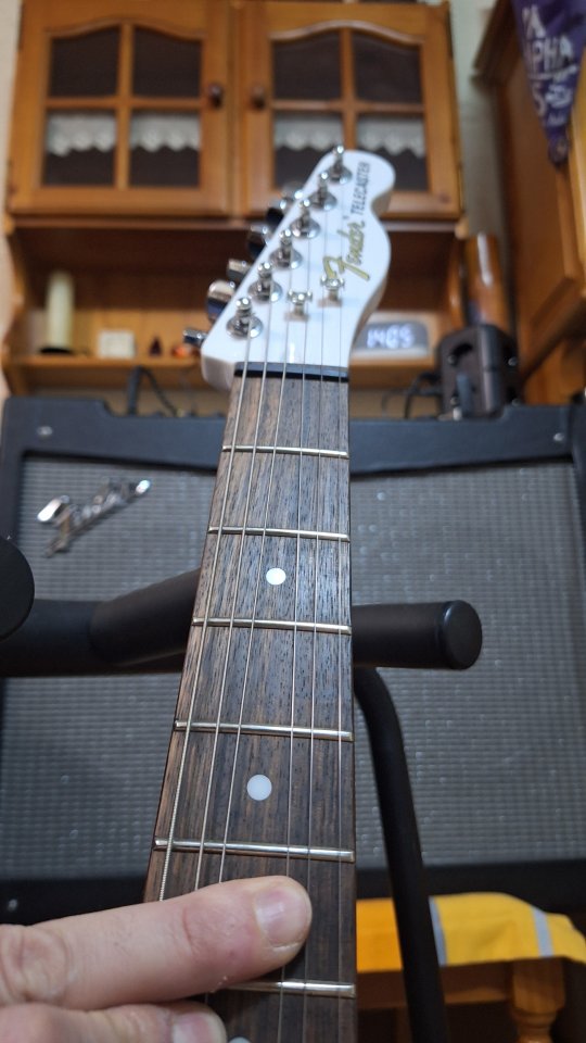 Fender Telecaster Jim adkins, de tienda.