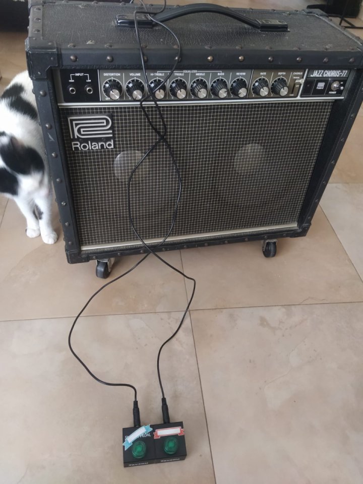 Roland Jazz Chorus JC-77