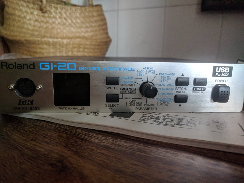 Roland GI-20