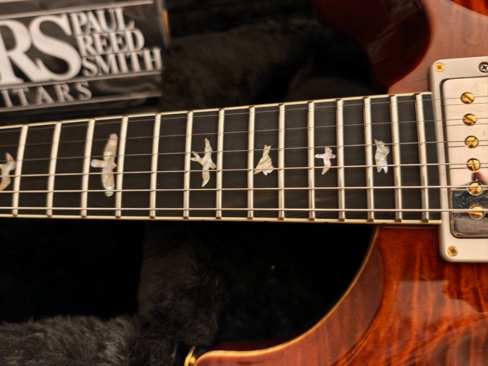 PRS DGT 10 Top Special Order de segunda mano · Foto 2 de 10 · Cantabria · 4150 €